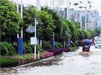 东营市城市安全风险综合监测预警系统项目